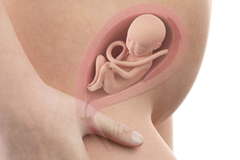 11 semaines de grossesse : À quoi s'attendre